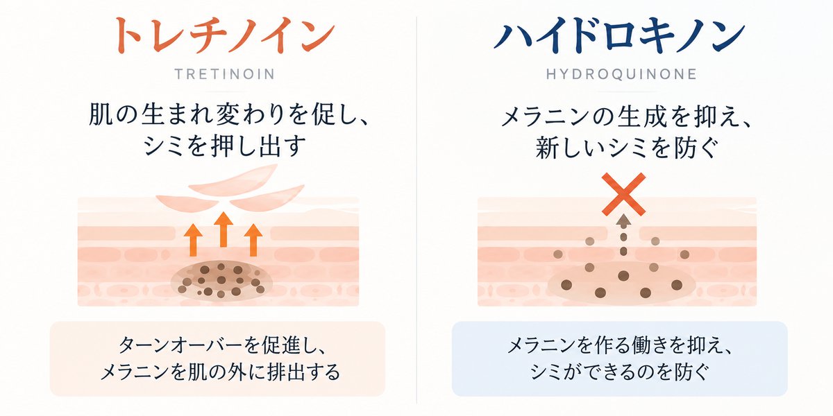 トレチノインは肌の生まれ変わりを促してメラニンを外へ押し出し、ハイドロキノンはメラニンの生成を抑える。2剤の役割の違いを示した図